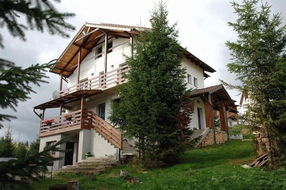 Casa De Vacanta Two Brothers Concept Пэлтиниш Экстерьер фото
