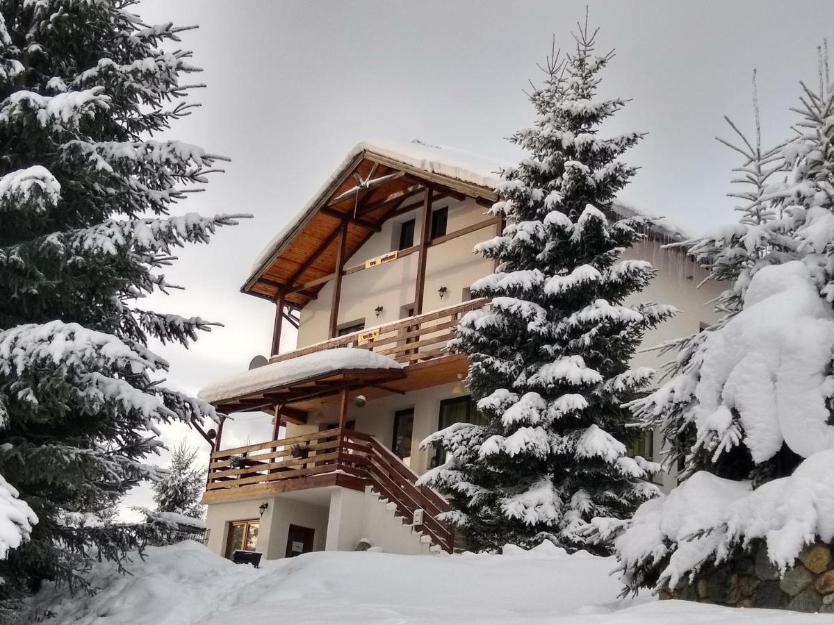 Casa De Vacanta Two Brothers Concept Пэлтиниш Экстерьер фото