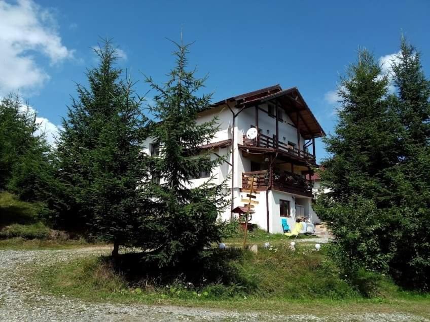 Casa De Vacanta Two Brothers Concept Пэлтиниш Экстерьер фото