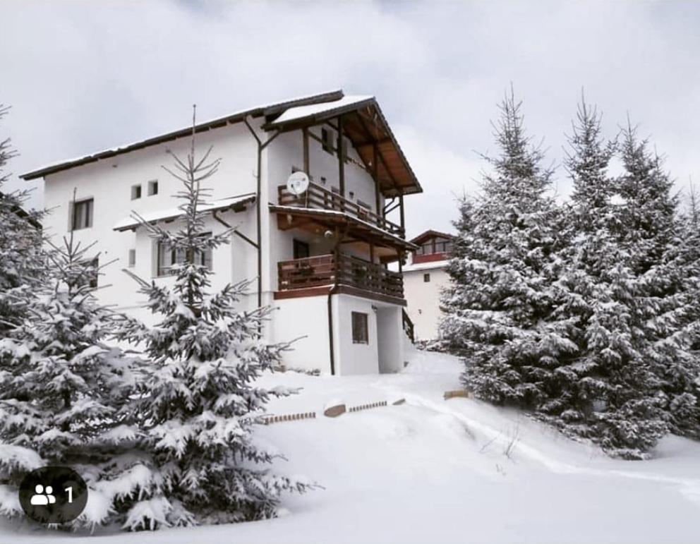 Casa De Vacanta Two Brothers Concept Пэлтиниш Экстерьер фото
