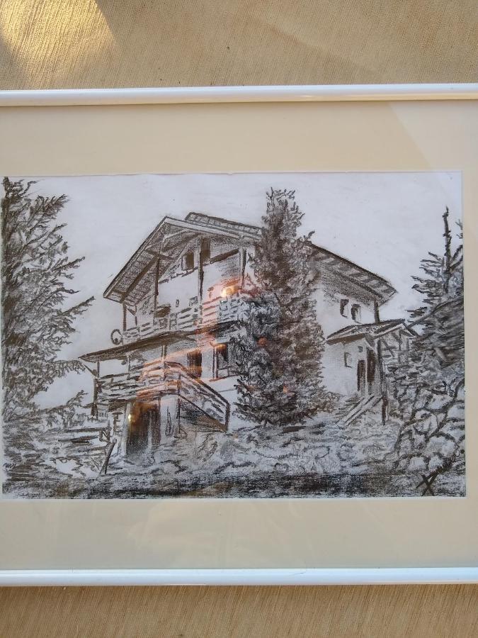 Casa De Vacanta Two Brothers Concept Пэлтиниш Экстерьер фото