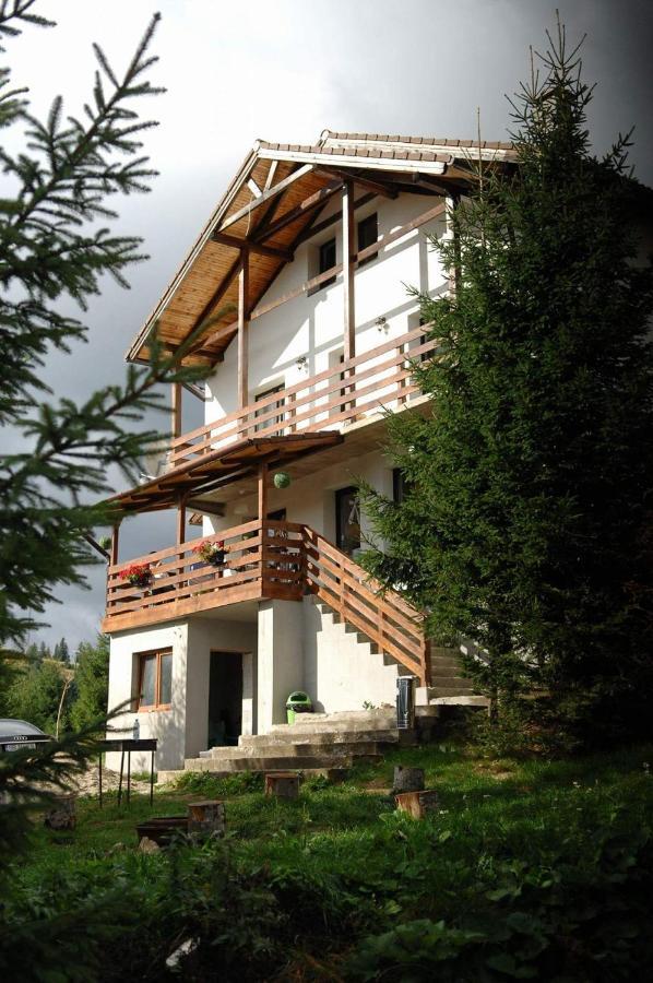 Casa De Vacanta Two Brothers Concept Пэлтиниш Экстерьер фото